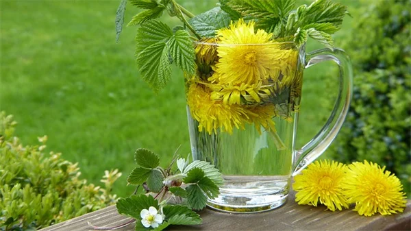 ミントで害虫対策！効果的な3つの種類と実際のデータ