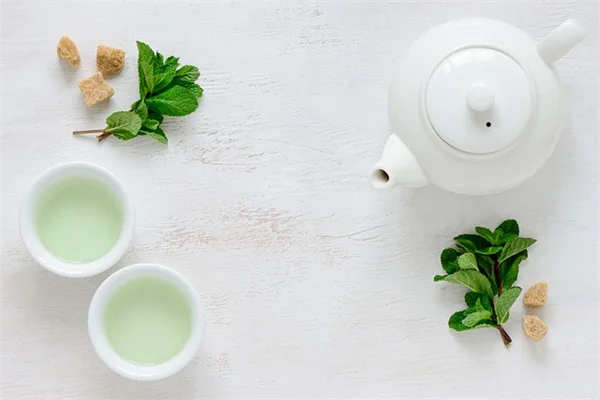 【冬の室内植物】おすすめ5選！上手な選び方と育て方