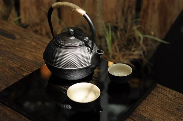 30分でできる！接骨木の移栽、秋がベストな理由