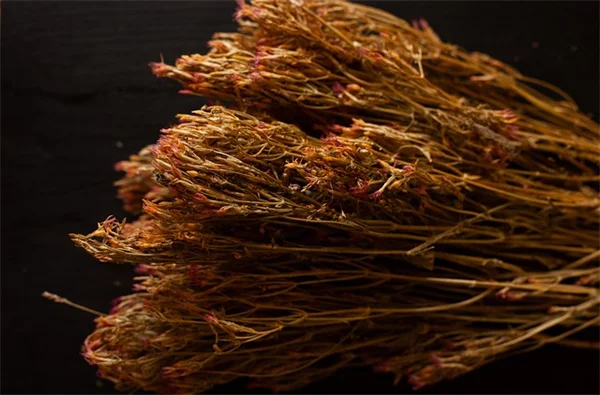 珍しい植物で作るお茶6選！自宅で簡単に育てるコツと淹れ方