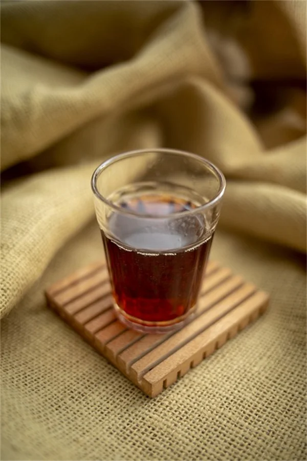 フィカスのサイズと寿命 室内でどこまで育つ？40年育てるコツ